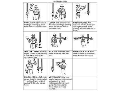 Endeavour's Overhead Crane Safety Guides