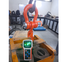 Wireless Hand Display Crane Scale - Industrial Weighing Scale